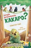 Neyin Peşindesin Kakapo?