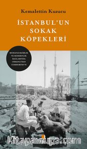 İstanbul'un Sokak Köpekleri