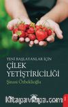 Yeni Başlayanlar İçin Çilek Yetiştiriciliği