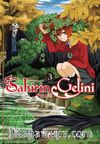 Sahirin Gelini 3
