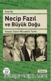 Necip Fazıl ve Büyük Doğu & Sosyal, Siyasi Mücadele Tarihi