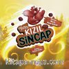 Oyuncu Kızıl Sincap