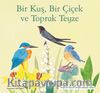 Bir Kuş, Bir Çiçek ve Toprak Teyze