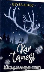 Kar Tanesi
