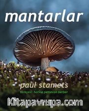 Mantarlar