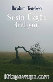 Sesin Üzgün Geliyor
