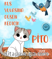Kuş Yuvasına Düşen Kedicik Pito