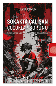 Sokakta Çalışan Çocuklar Sorunu <br /> Polatlı Örneği Üzerinden Sosyolojik Bir Araştırma