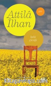 Bela Çiçeği