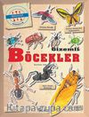 Gizemleri Öğrenelim - Gizemli Böcekler