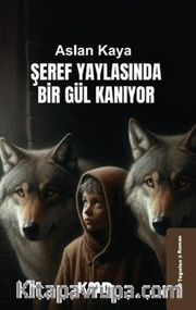 Şeref Yaylasında Bir Gül Kanıyor