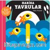 Kaydır ve Gülümse / Harika Yavrular