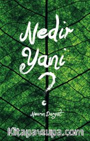 Nedir Yani ?