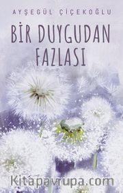Bir Duygudan Fazlası