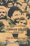 Emel ve Hizbullah Çerçevesinde Lübnan Şiiliği & Tarihi, Sosyo-Politik Analiz