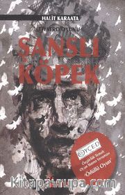 Şanslı Köpek