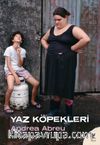 Yaz Köpekleri