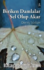 Biriken Damlalar Sel Olup Akar