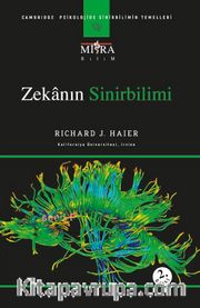 Zekanın Sinirbilimi
