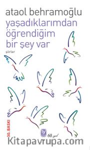 Yaşadıklarımdan Öğrendiğim Bir Şey Var