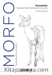 Morfo <br /> Memeliler Karşılaştırmalı Morfolojinin Unsurları