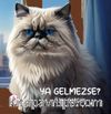 Ya Gelmezse