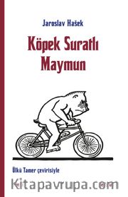 Köpek Suratlı Maymun
