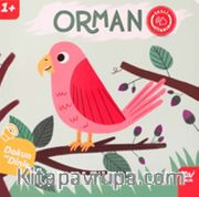 Orman / Dokun ve Dinle Sesli Kitabım
