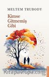 Kimse Gitmemiş Gibi