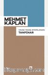 Yavaş Yavaş Aydınlanan Tanpınar 