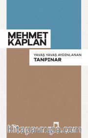 Yavaş Yavaş Aydınlanan Tanpınar 