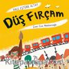 Düş Fırçam