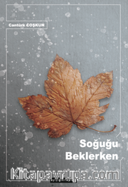 Soğuğu Beklerken