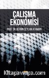 Çalışma Ekonomisi ve Endüstri İlişkileri Konu Anlatım Kitabı