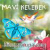 Mavi Kelebek