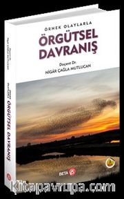 Örnek Olaylarla Örgütsel Davranış