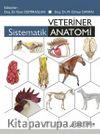 Veteriner Sistematik Anatomi