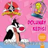 Dolunay Kedisi