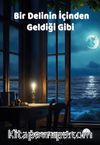 Bir Delinin İçinden Geldiği Gibi