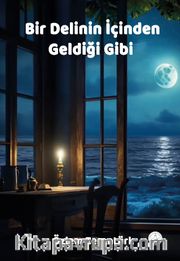 Bir Delinin İçinden Geldiği Gibi