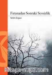 Fırtınadan Sonraki Sessizlik