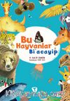 Bu Hayvanlar Bi’acayip 
