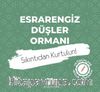 Esrarengiz Düşler Ormanı / Mandala