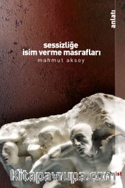 Sessizliğe İsim Verme Masrafları