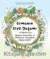 Ormanın Gizli Yaşamı