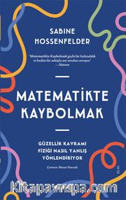 Matematikte Kaybolmak <br /> Güzellik Kavramı Fiziği Nasıl Yanlış Yönlendiriyor