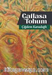 Çatlasa Tohum