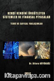 Kendi Kendini Örgütleyen Sistemler ve Finansal Piyasalar : Teori ve Sayısal Yaklaşımlar