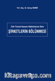 Şirketlerin Bölünmesi