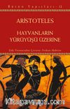 Hayvanların Yürüyüşü Üzerine